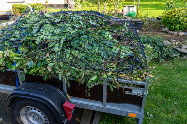 Best Carpet Removal and Disposal  in Cerro Gordo, IL